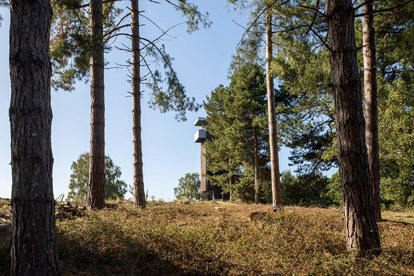 sutton hoo viewing platform