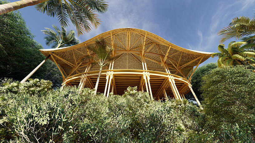 undulating bamboo canopy tops oval teahouse by pablo luna within lush  jungle in bali