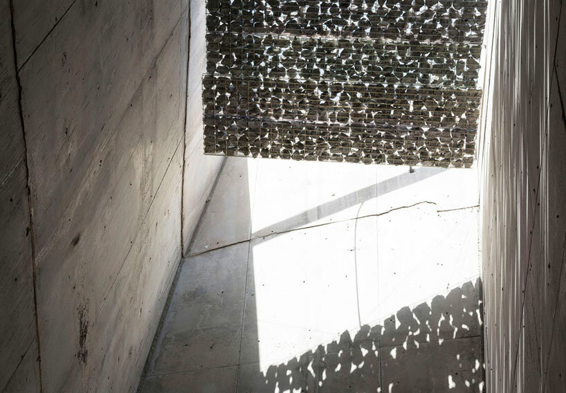 image © patri cámpora