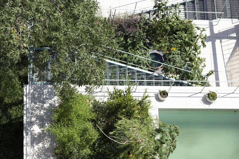 image © nasim razavian 