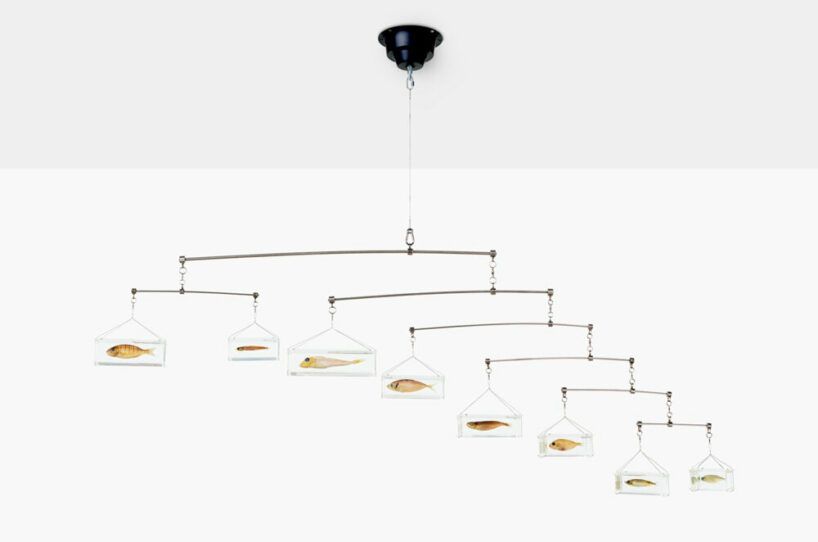 damien hirst, school daze, 2021 stainless steel, acrylic, electric motor, fish, and formaldehyde solution, 27 ⅝ × 74 ⅞ × 74 ⅞ inches (70 × 190 × 190 cm)