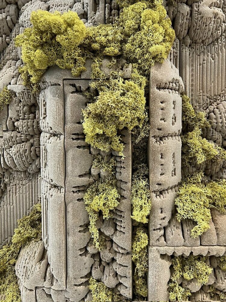 moss growing within the 3D printed sand blocks