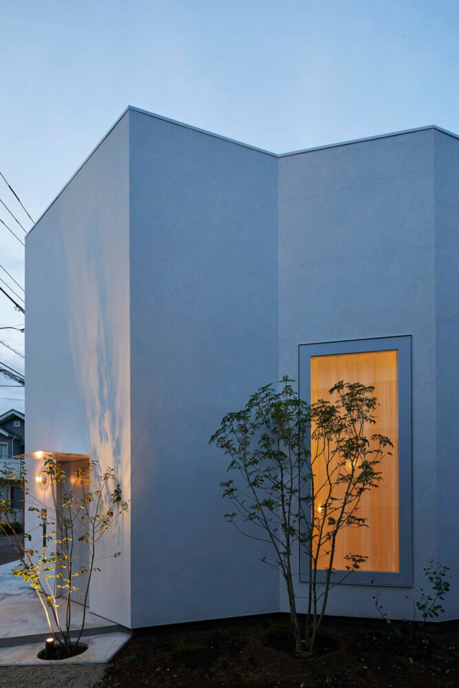 the exterior side of the wall can maximize the room for greenery