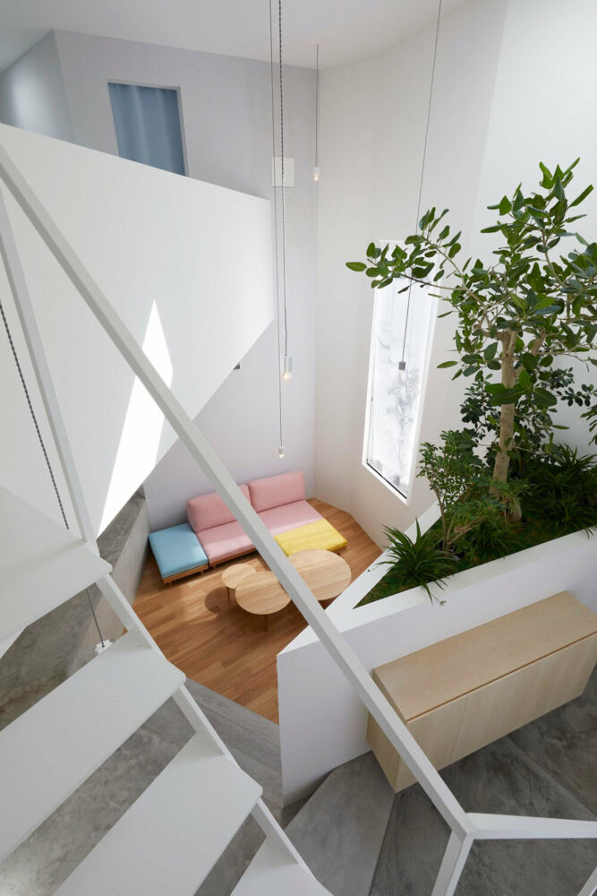 three-meter-high plants grow inside the house