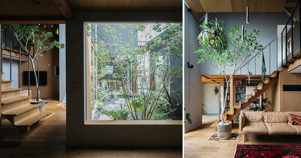 green patios cut out nightingale house in suburban japan