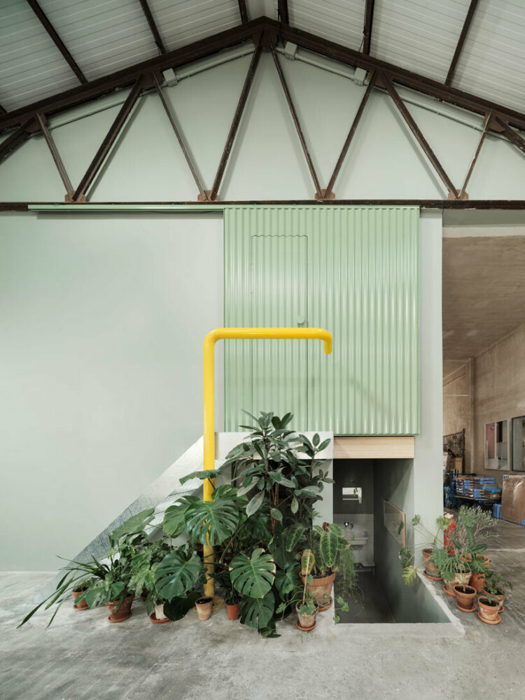 image by Luis Díaz Díaz