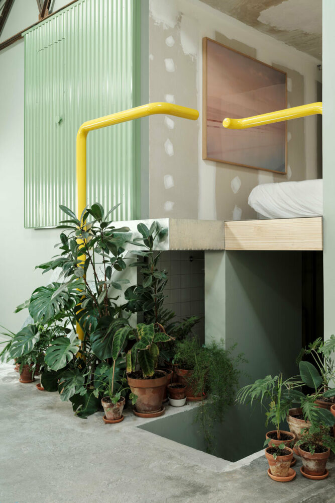 image by Luis Díaz Díaz