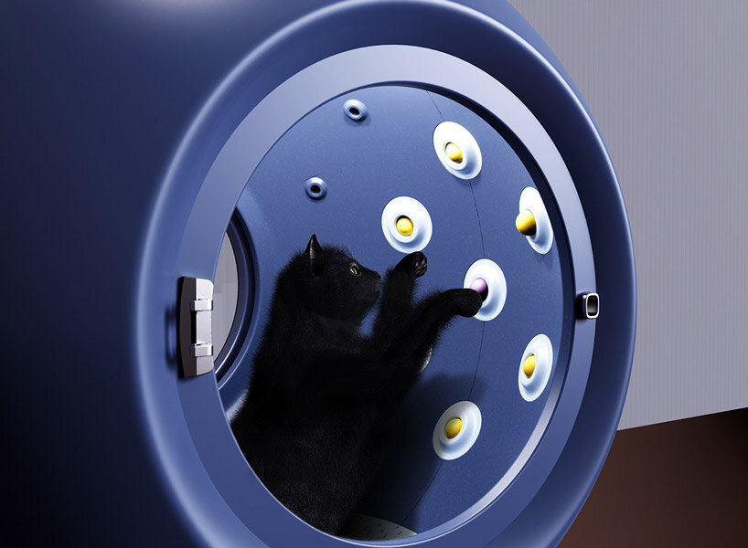 cats can people-watch and play whack-a-mole inside drying room ‘dmuse’