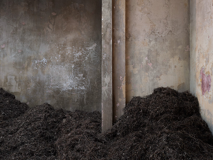 image courtesy of Ugo Carmeni