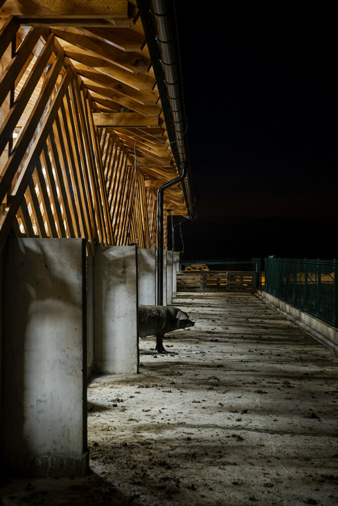 Materials are simple, rough, and directly subordinate to the function and context