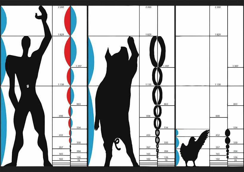After designing housing for chickens and now for pigs, SKROZ architecture has redesigned the legendary Le Corbusier's modulor, with both animals now on anthropometric scale of proportions