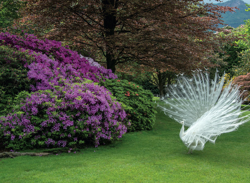 ‘grandi giardini italiani’ travels through 147 exquisite gardens in 14 regions of italy