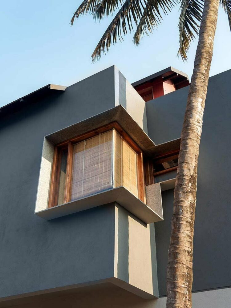 the contrast between the granite corner window and the coconut tree