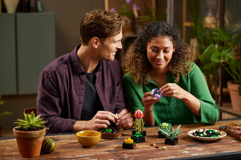 LEGO Creator Expert Botanical Collection Orchid, Succulents Teaser