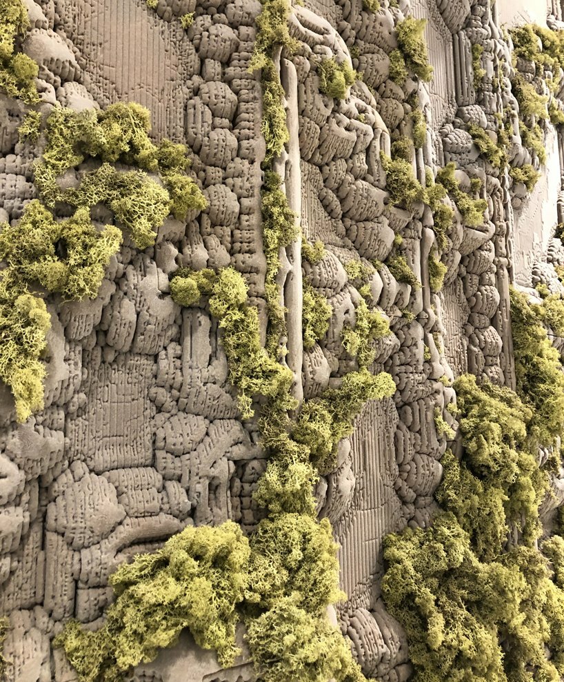 close up shot showing the moss growing within the wall surface