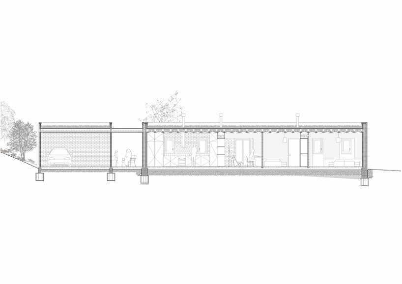 longitudinal section