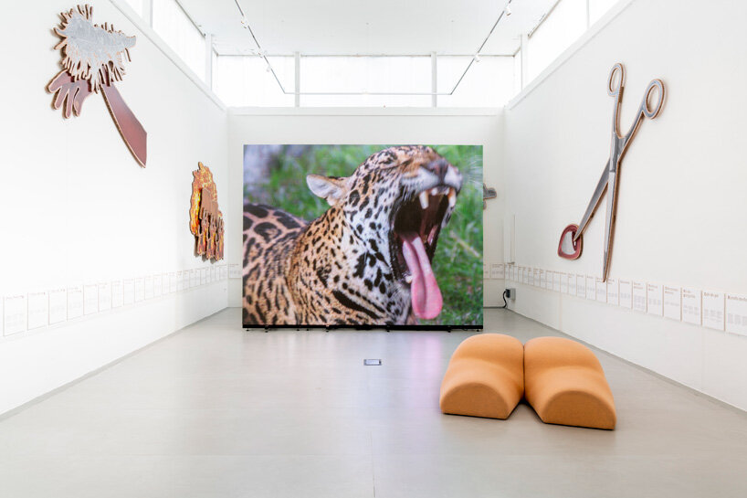 brazil pavilion translates idioms referring to the human body into playful installation in venice