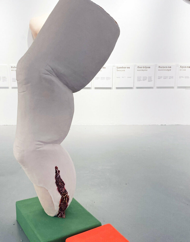 rotten finger | image © designboom