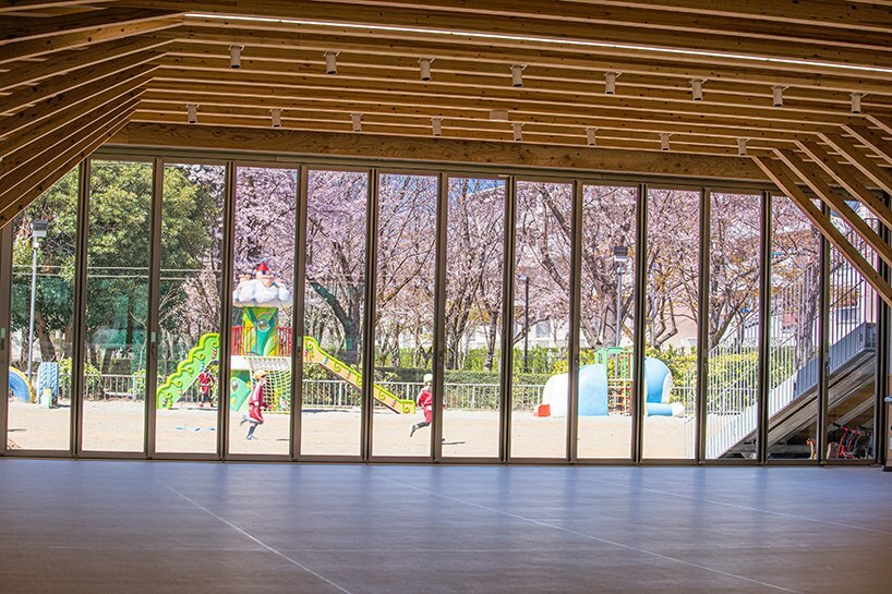 looking cherry blossoms from the hall