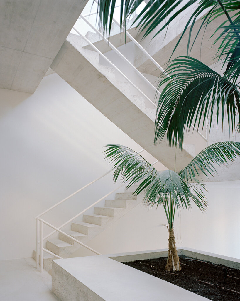 arquitectura-G casa verdi