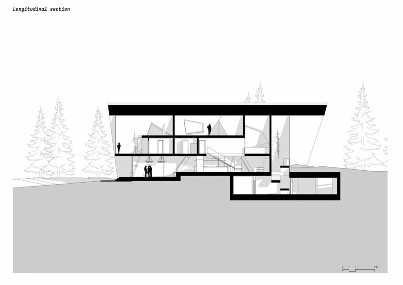 longitudinal section