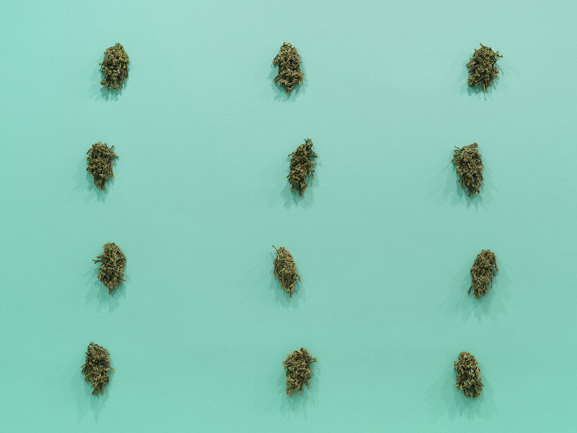 ernesto neto highlights the cycles of nature in latest installation at tanya bonakdar gallery