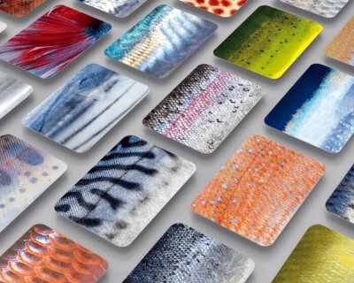 these playing cards replicate the skin of fish