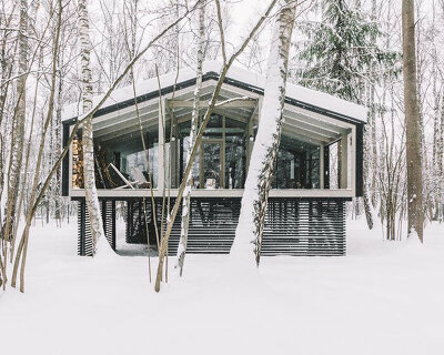 this elevated cabin house by BIO-architects features a see-through basement