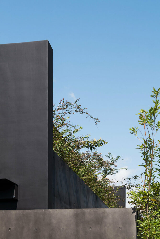 the inaccessible, upper part of the ossuary is filled with greenery