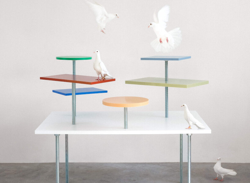 the pleasure of dining and celebration inspires ‘the pigeon table’