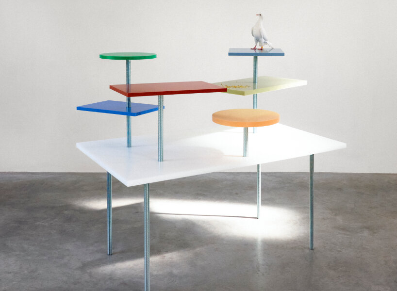 the pleasure of dining and celebration inspires ‘the pigeon table’