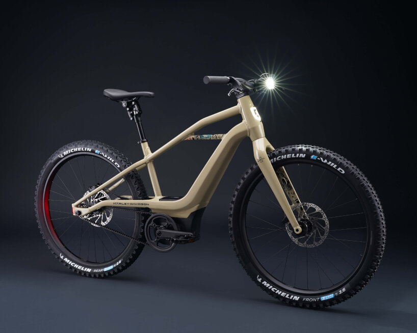 electric bike BASH/MTN has no suspension to tune and drivetrain to adjust