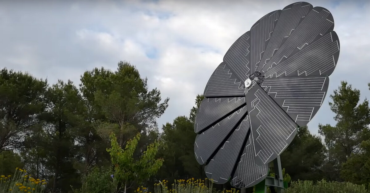 selfcleaning sunflower solar panels generate up to 40 more power
