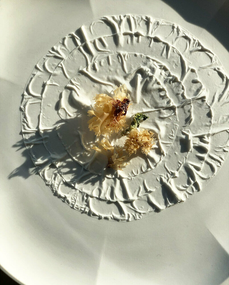 carolien niebling (* 1984), kombu plate with irish moss - image by carolien niebling