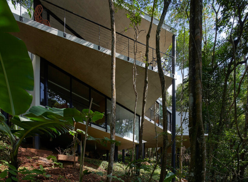 casa açucena rises fifteen meters from the ground and lives within a forest in brazil