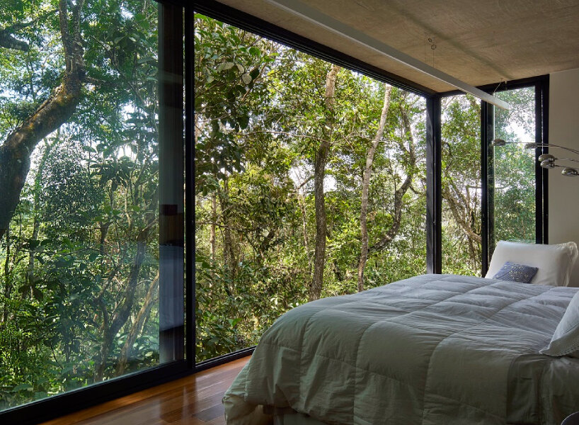 casa açucena rises fifteen meters from the ground and lives within a forest in brazil