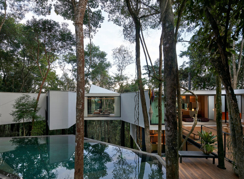 casa açucena rises fifteen meters from the ground and lives within a forest in brazil