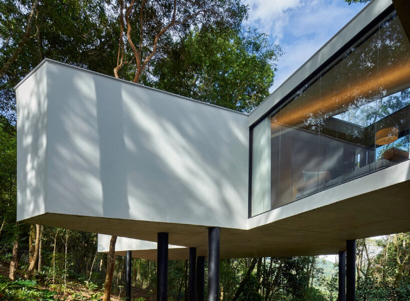 casa açucena rises fifteen meters from the ground and lives within a forest in brazil