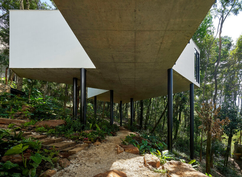 casa açucena rises fifteen meters from the ground and lives within a forest in brazil