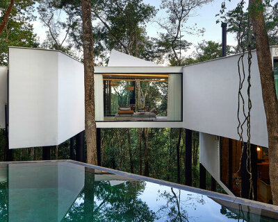 casa açucena rises fifteen meters from the ground and lives within a forest in brazil