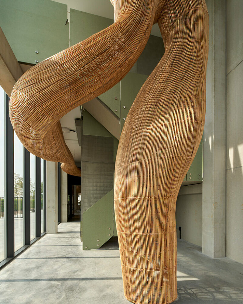 enter projects gives facelift to belgium factory with an intervention of fluid rattan