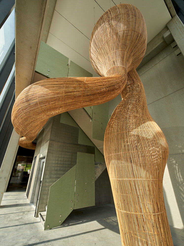 enter projects gives facelift to belgium factory with an intervention of fluid rattan