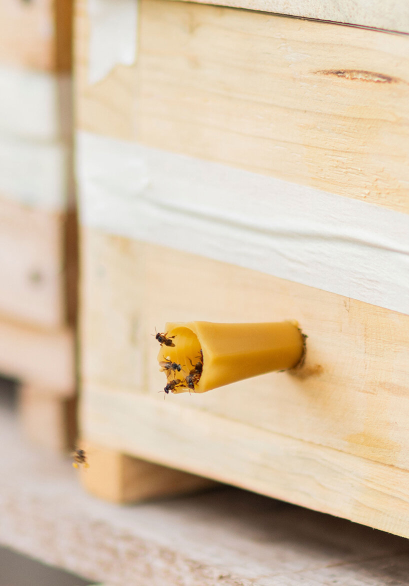 'pieces of home' create symbiotic solutions by leveraging discarded natural materials