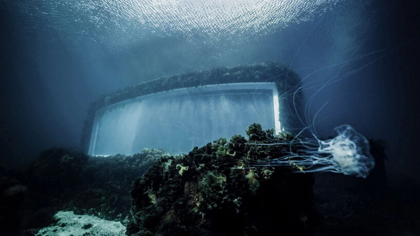 snøhetta underwater