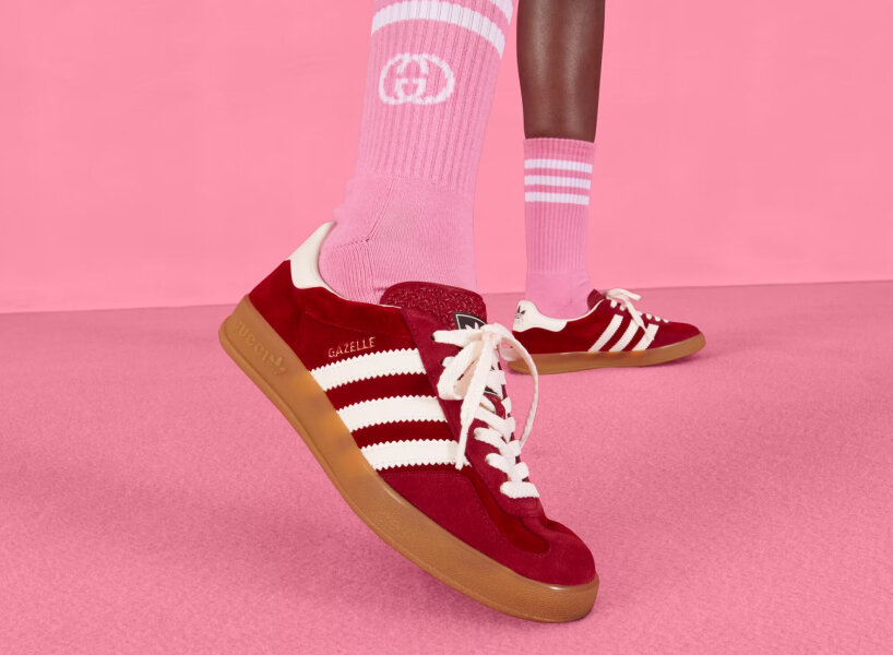 gucci adidas gazelle collection