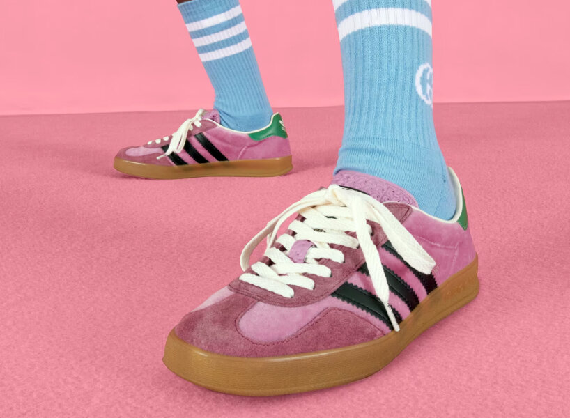 gucci adidas gazelle collection