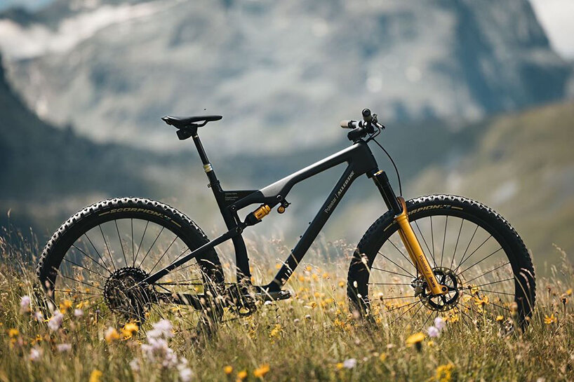 allebike alpha polestar edition 