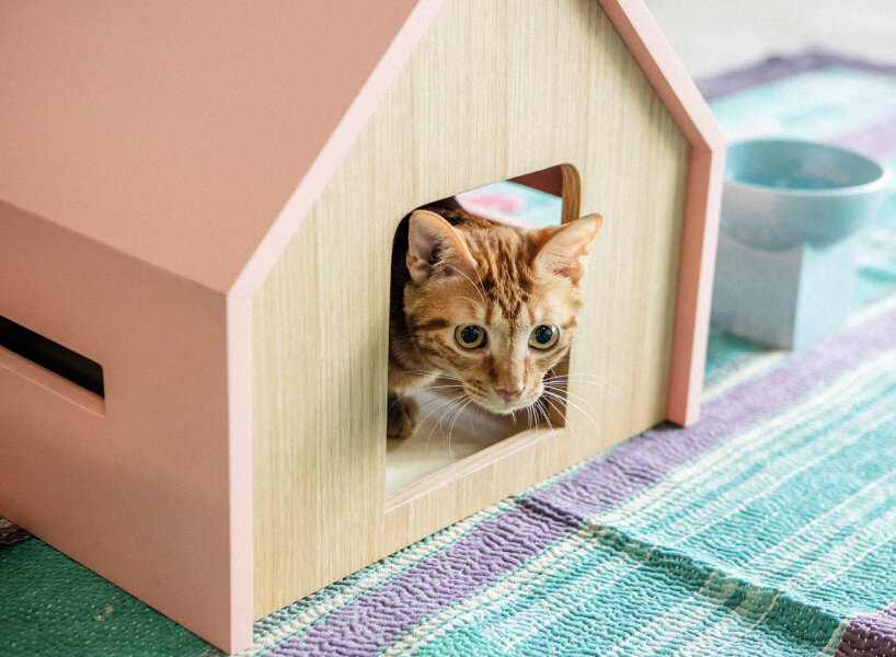wooden, cushioned mini houses and beds for cats help them relax and sleep well