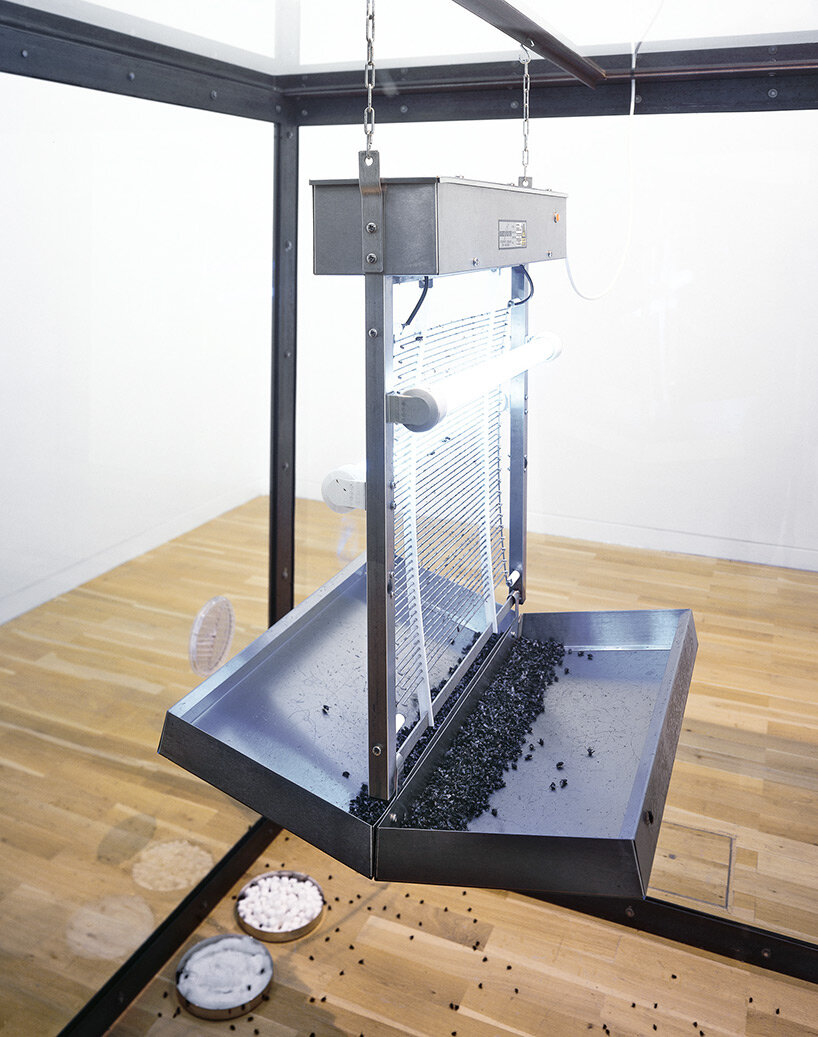 damien hirst dead-fly installation dismantled after PETA complaint