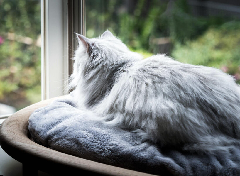 wooden, cushioned mini houses and beds for cats help them relax and sleep well